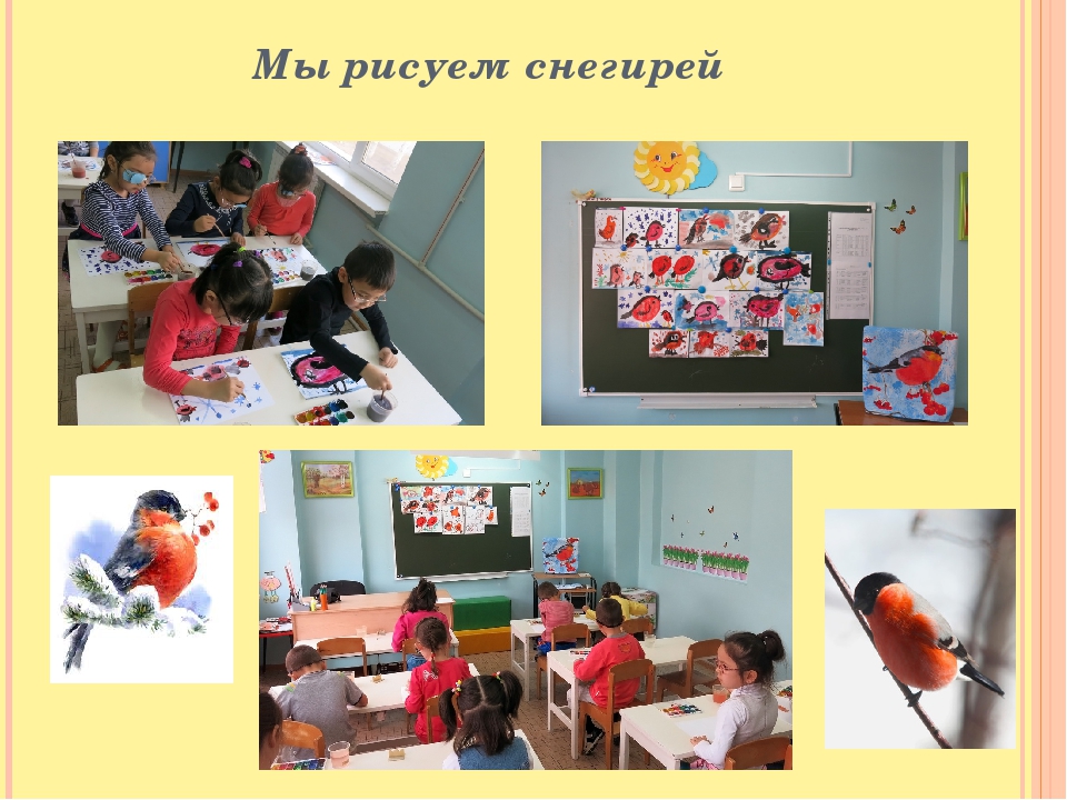 Презентация "Птицы - наши друзья"