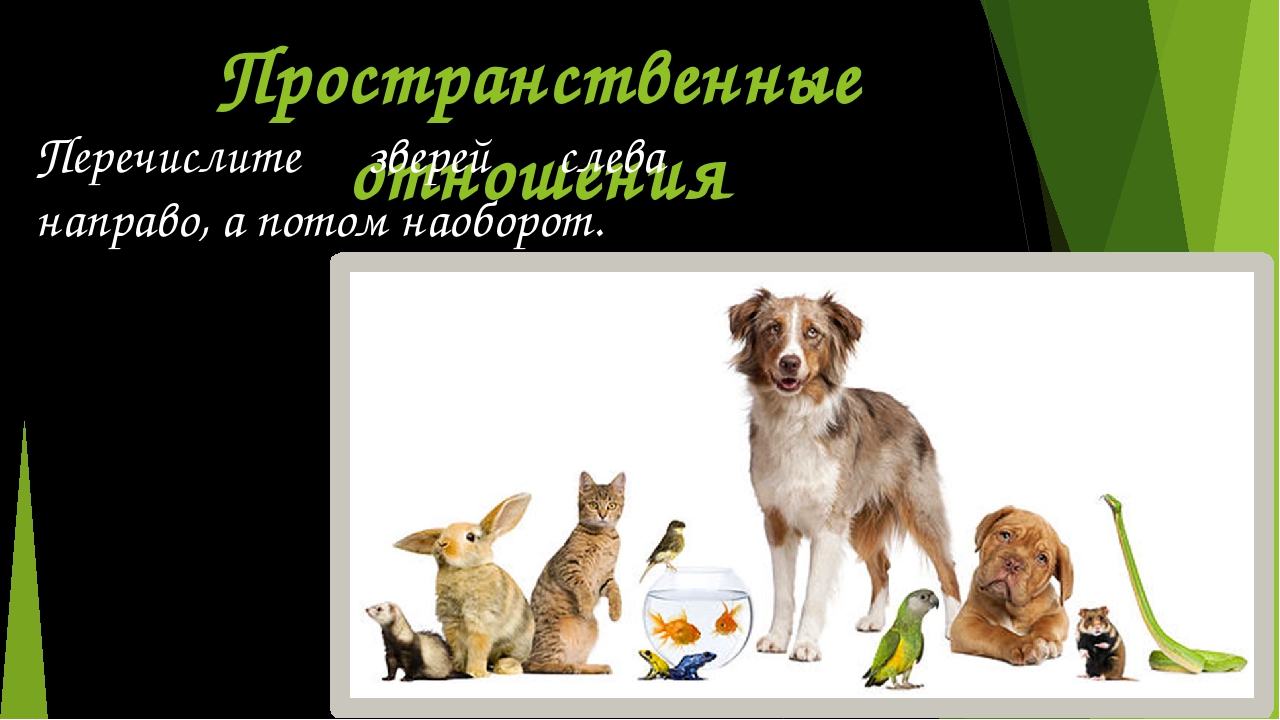 Рабочая тетрадь по математике