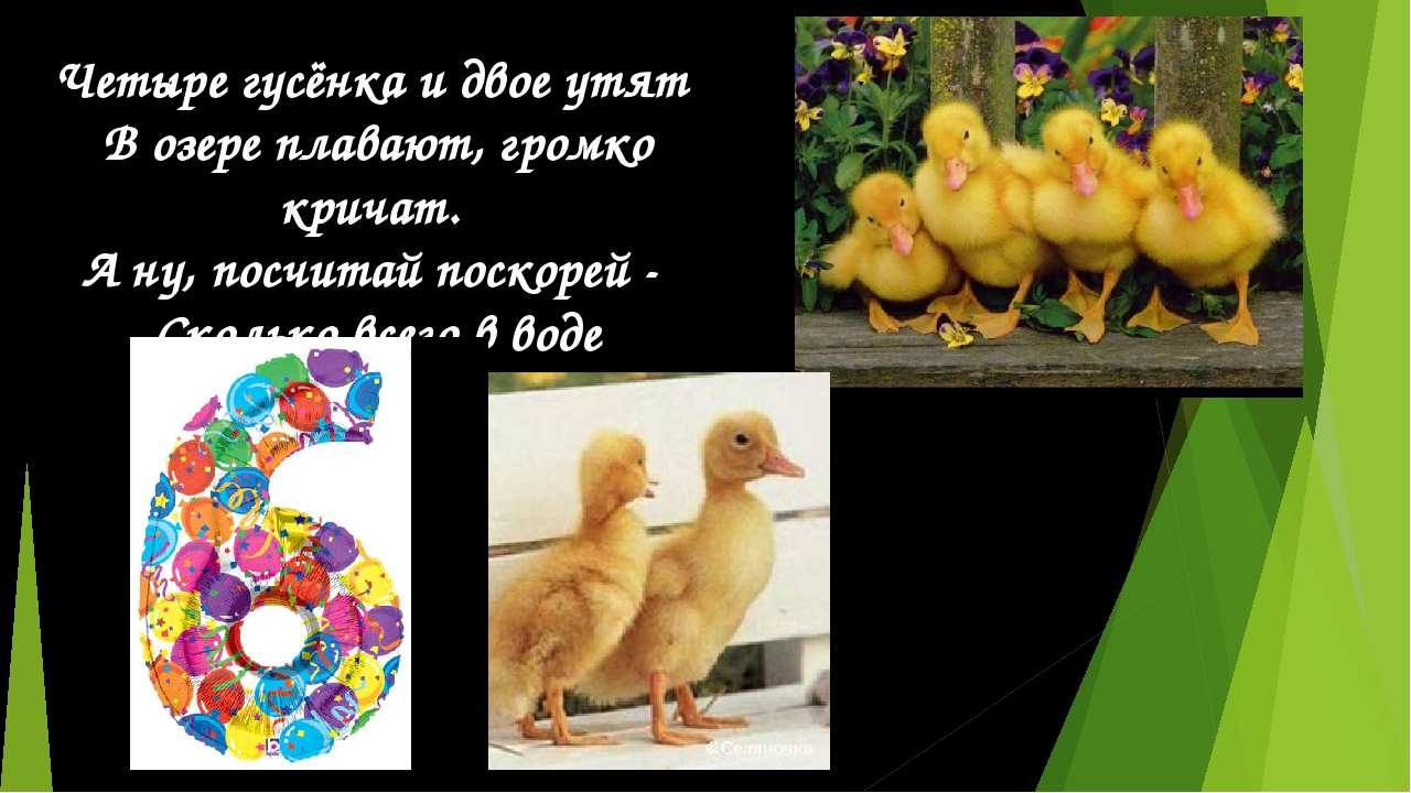 Математический тест для дошкольников
