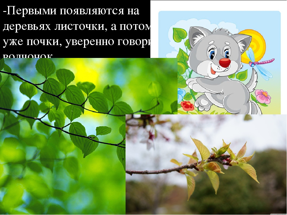 Игры на развитие временных представлений у дошкольников.