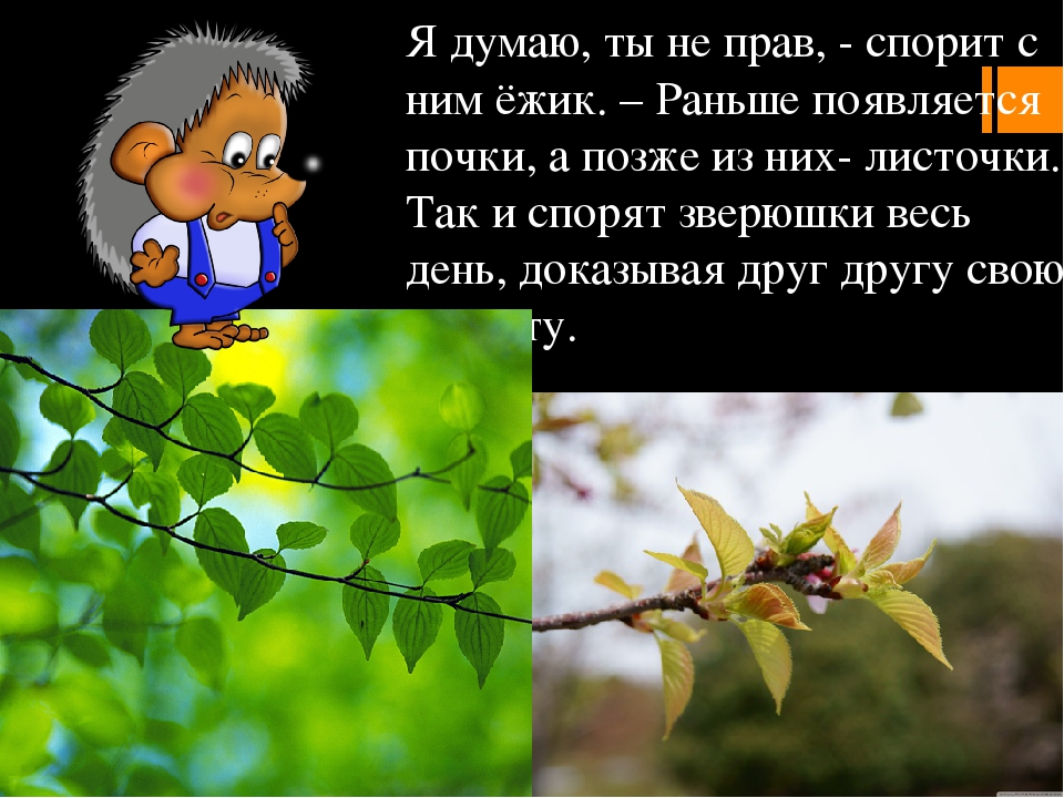 Игры на развитие временных представлений у дошкольников.