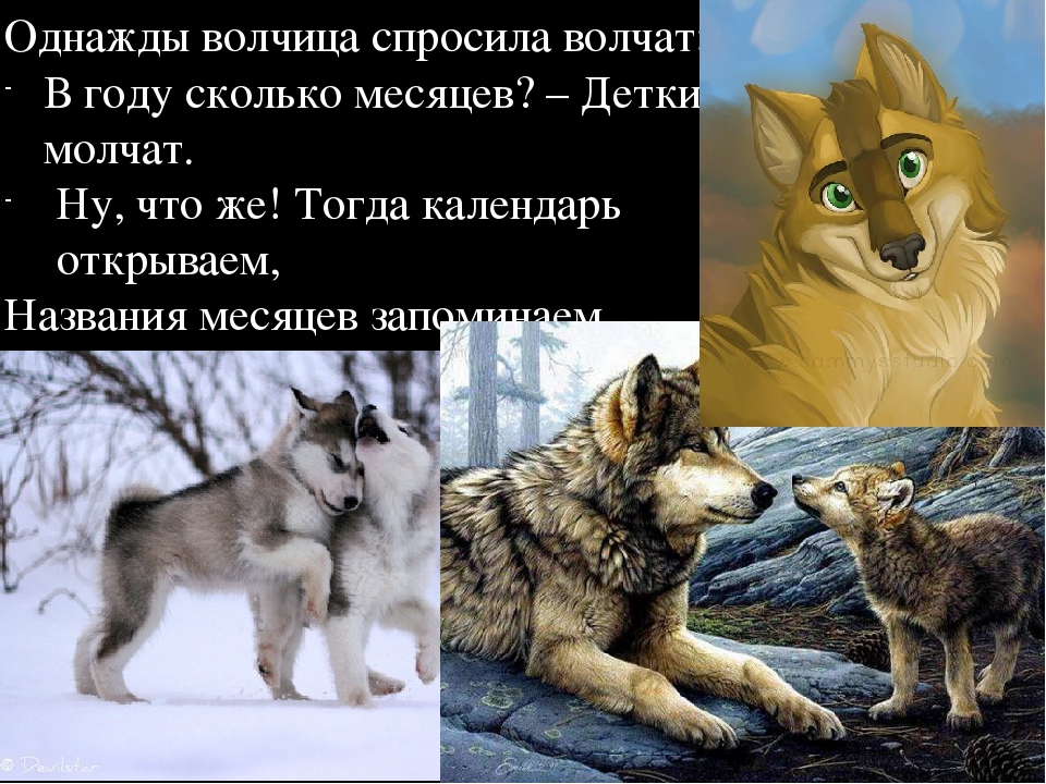 Игры на развитие временных представлений у дошкольников.