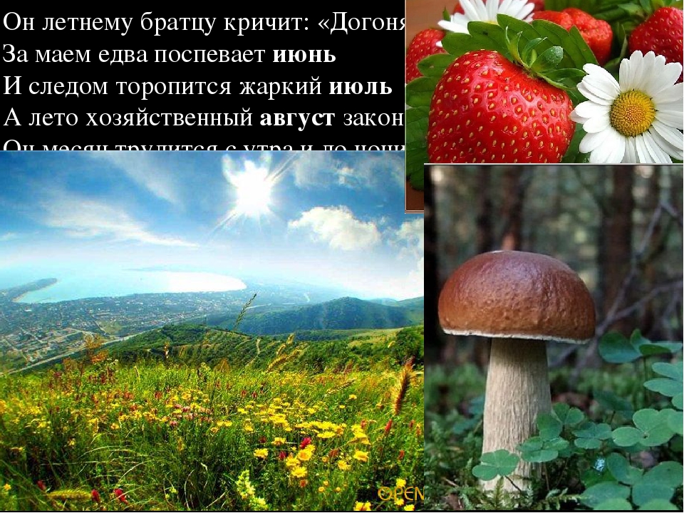 Игры на развитие временных представлений у дошкольников.