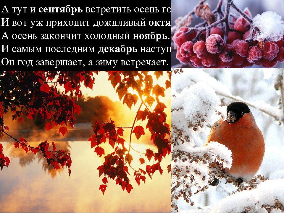 Игры на развитие временных представлений у дошкольников.