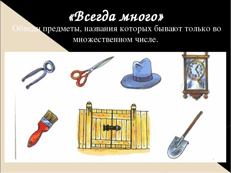 Развитие грамматического строя речи у дошкольников. Задания на развитие морфологических умений детей.