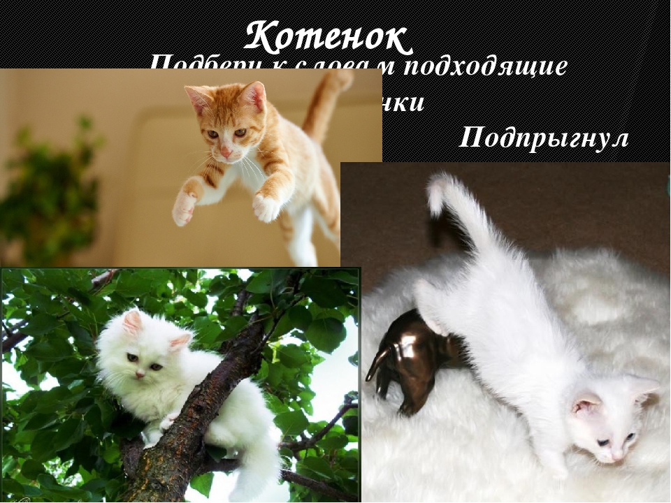 Игры и упражнения на формирование у детей словообразовательных умений.