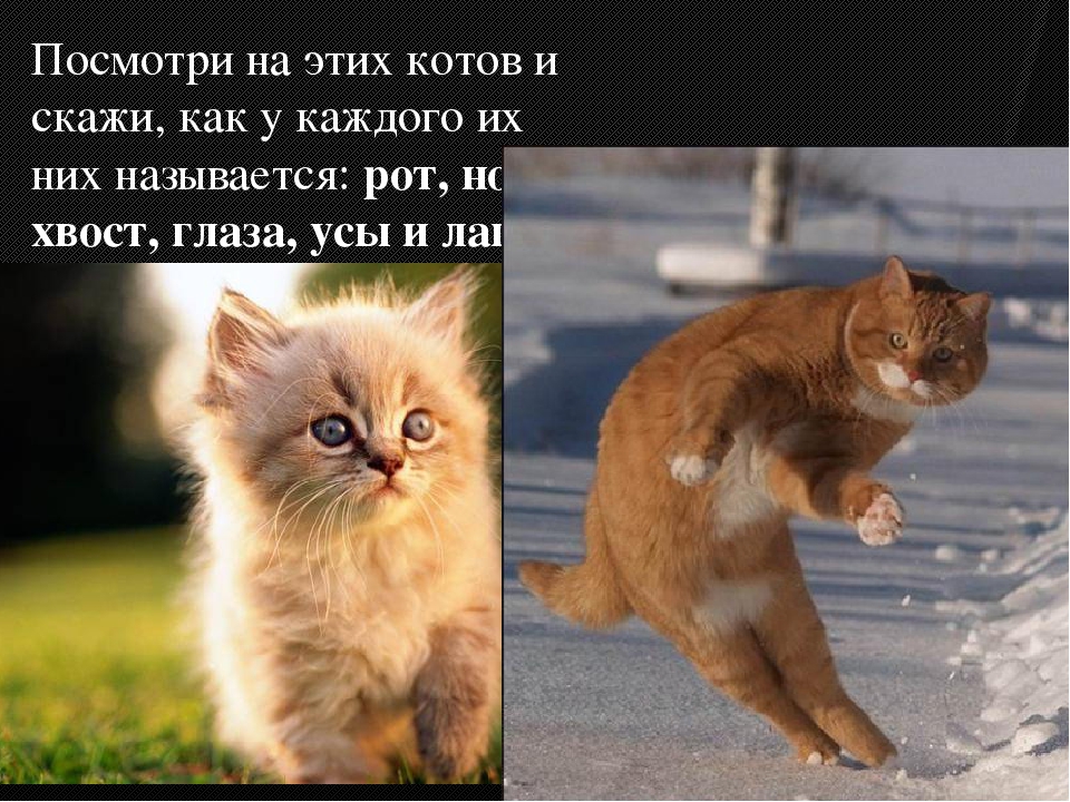 Игры и упражнения на формирование у детей словообразовательных умений.