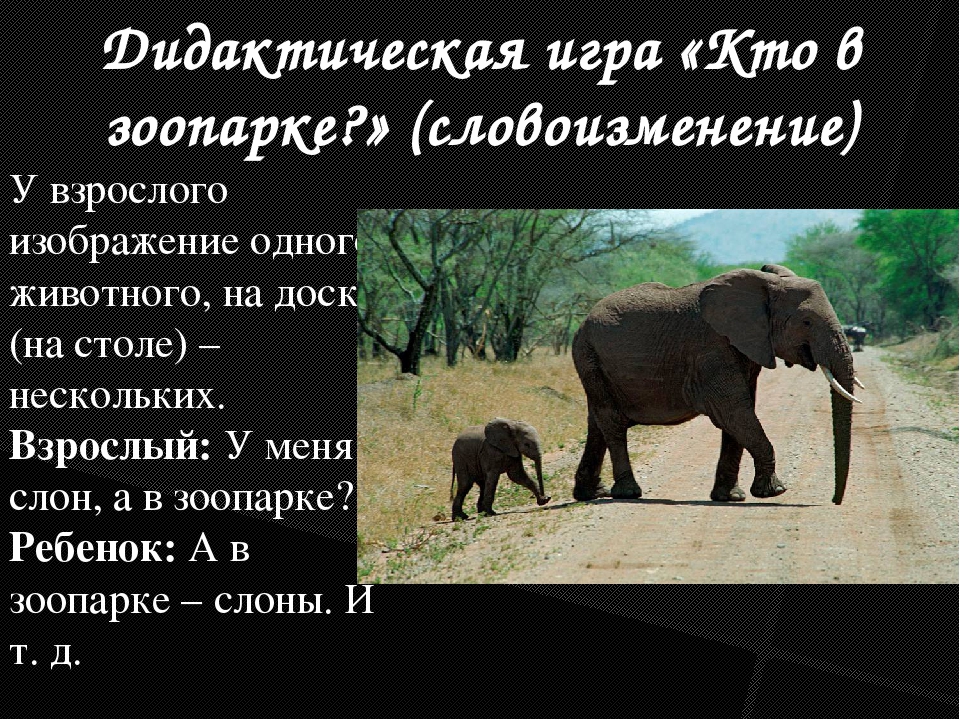 Игры и упражнения на формирование у детей словообразовательных умений.