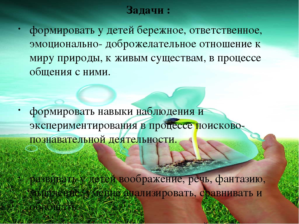 Совместная деятельность воспитателя с детьми старшего дошкольного возраста по программе «Юный эколог Кубани»презентация "