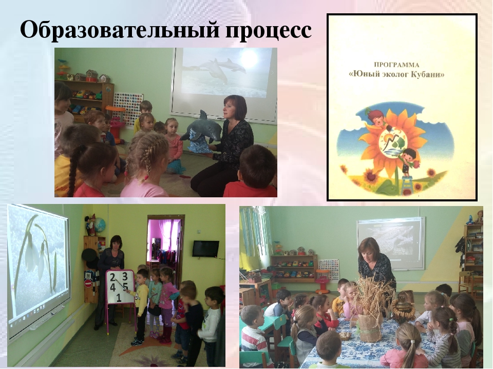Совместная деятельность воспитателя с детьми старшего дошкольного возраста по программе «Юный эколог Кубани»презентация "