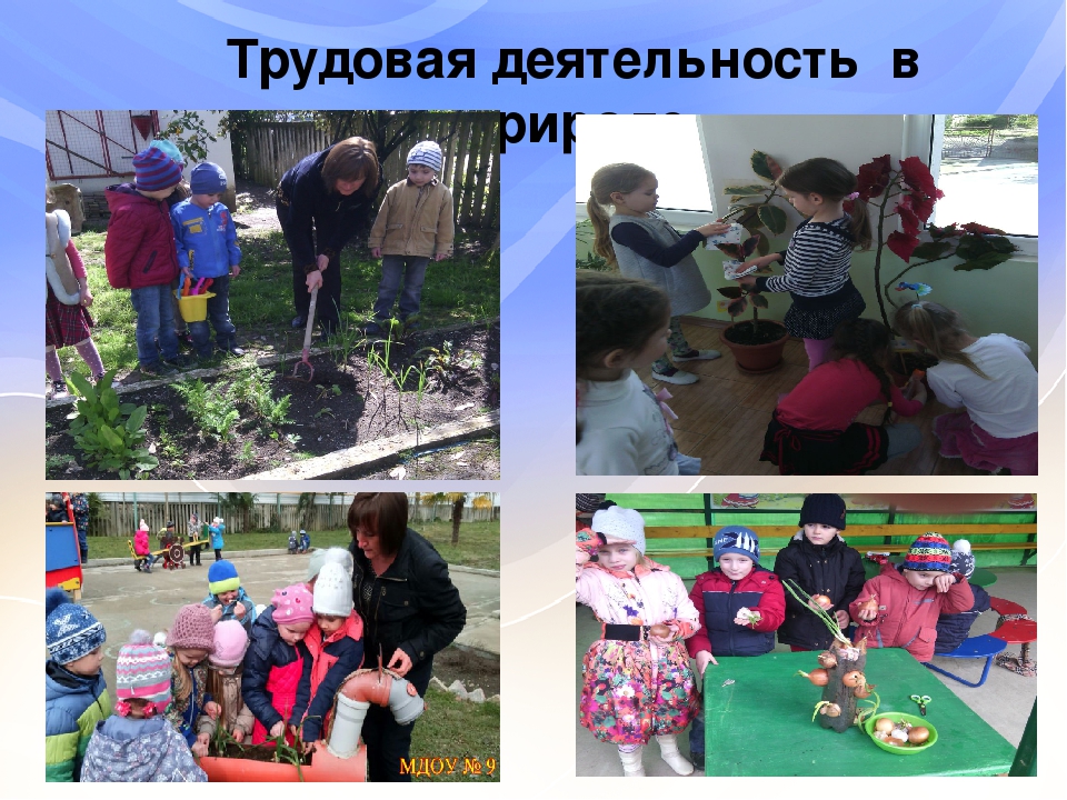 Совместная деятельность воспитателя с детьми старшего дошкольного возраста по программе «Юный эколог Кубани»презентация "