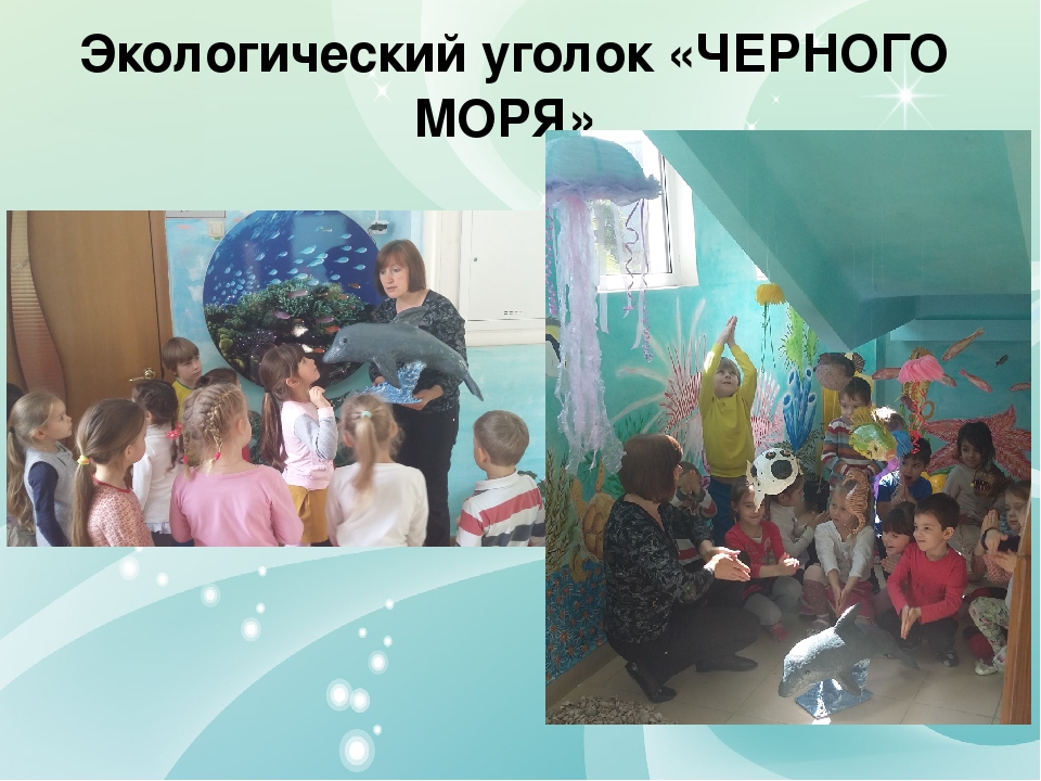 Совместная деятельность воспитателя с детьми старшего дошкольного возраста по программе «Юный эколог Кубани»презентация "