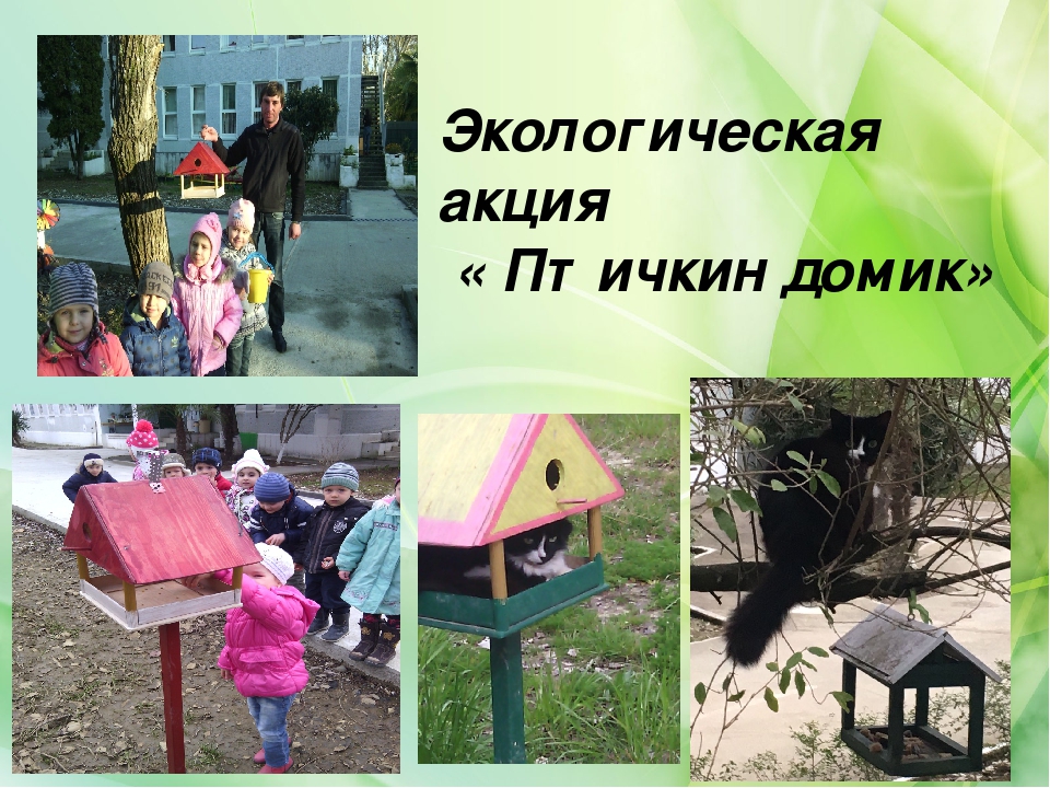 Совместная деятельность воспитателя с детьми старшего дошкольного возраста по программе «Юный эколог Кубани»презентация "