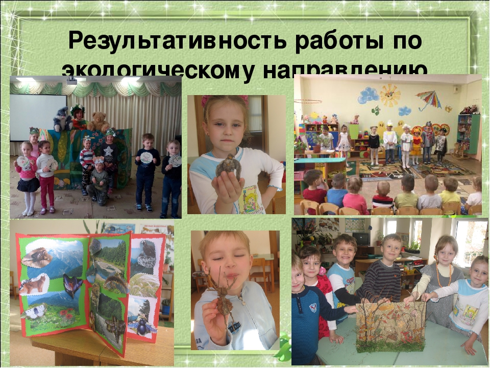 Совместная деятельность воспитателя с детьми старшего дошкольного возраста по программе «Юный эколог Кубани»презентация "