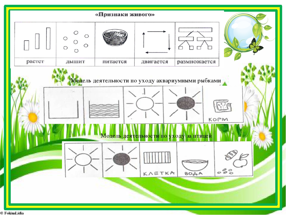 Модели схемы описания. Графическая модель для дошкольников. Графическая модель экология. Предметно схематическая модель по экологии. Предметно-схематические модели в детском саду по экологии.