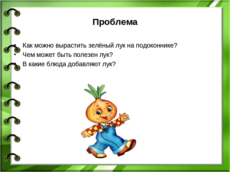 Добавь лук. Презентация выращивание лука. Презентация проект выращивание лука. Проект зеленый лук подготовительная группа. Проект зеленый лук 1 класс.