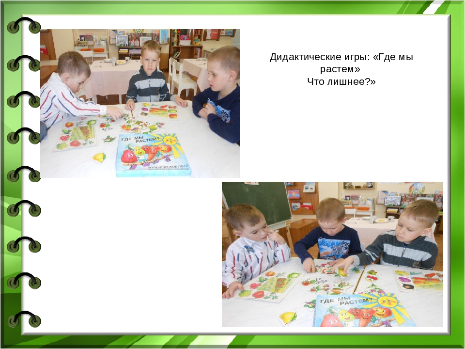 Презентация проекта "Лук - зеленый друг"