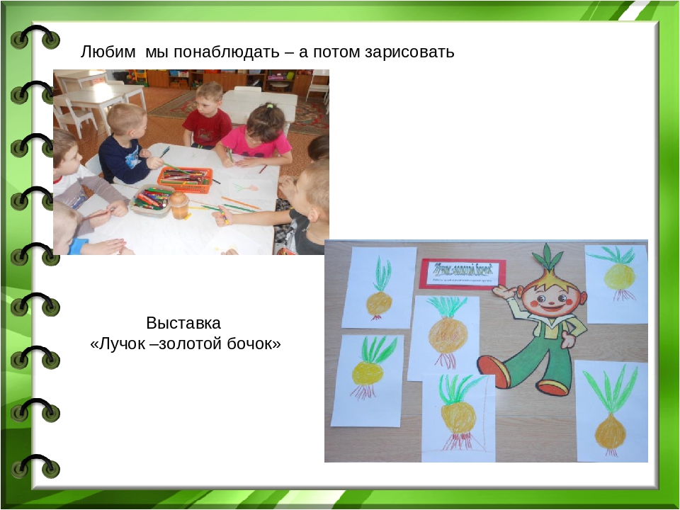 Презентация проекта "Лук - зеленый друг"