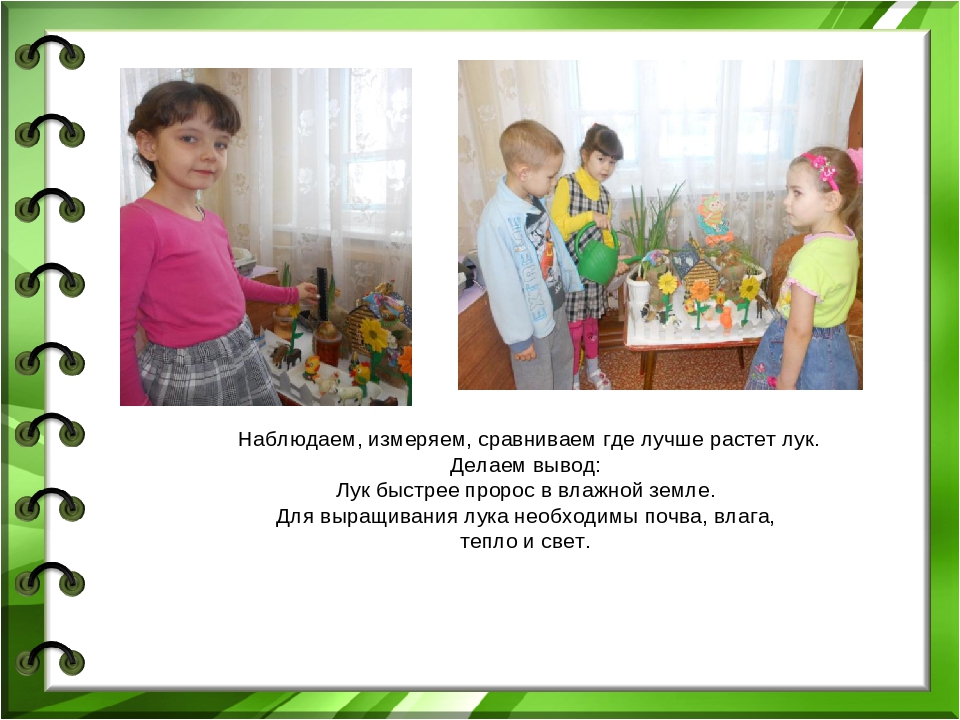 Презентация проекта "Лук - зеленый друг"