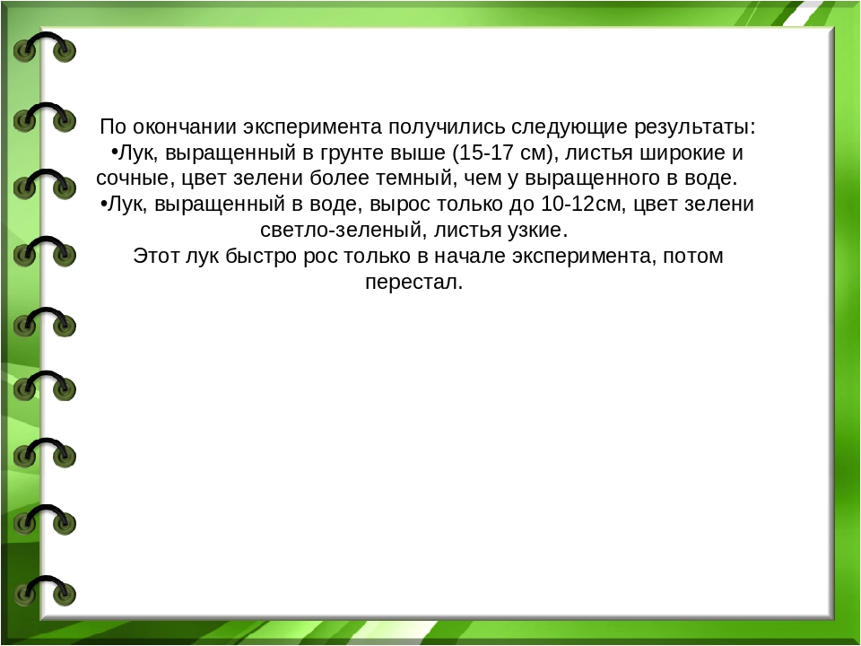 Презентация проекта "Лук - зеленый друг"