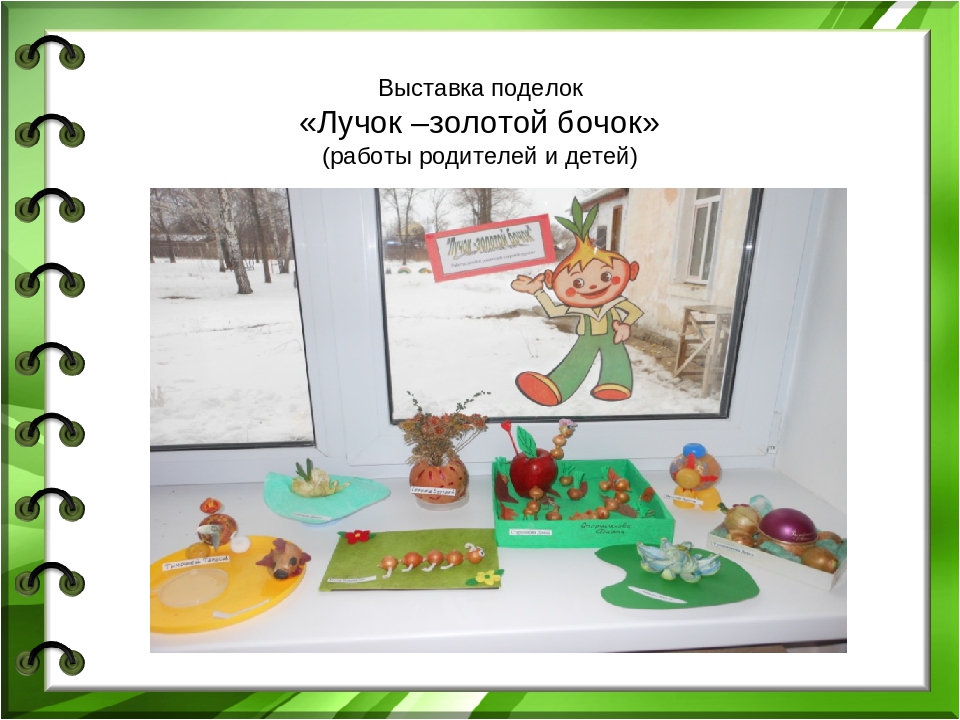 Презентация проекта "Лук - зеленый друг"