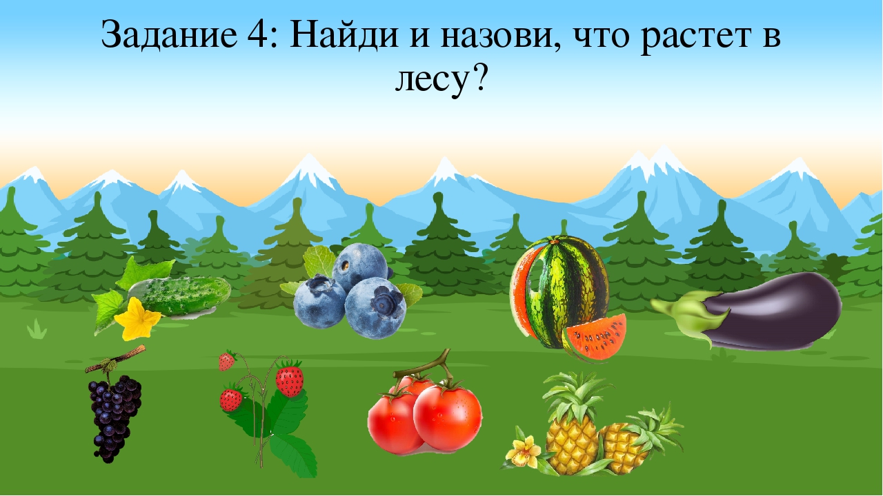 Лес задач. Что растет в лесу. Игра что растет в лесу. Игра что растет в лесу для дошкольников. Покажи и назови что растет в лесу.