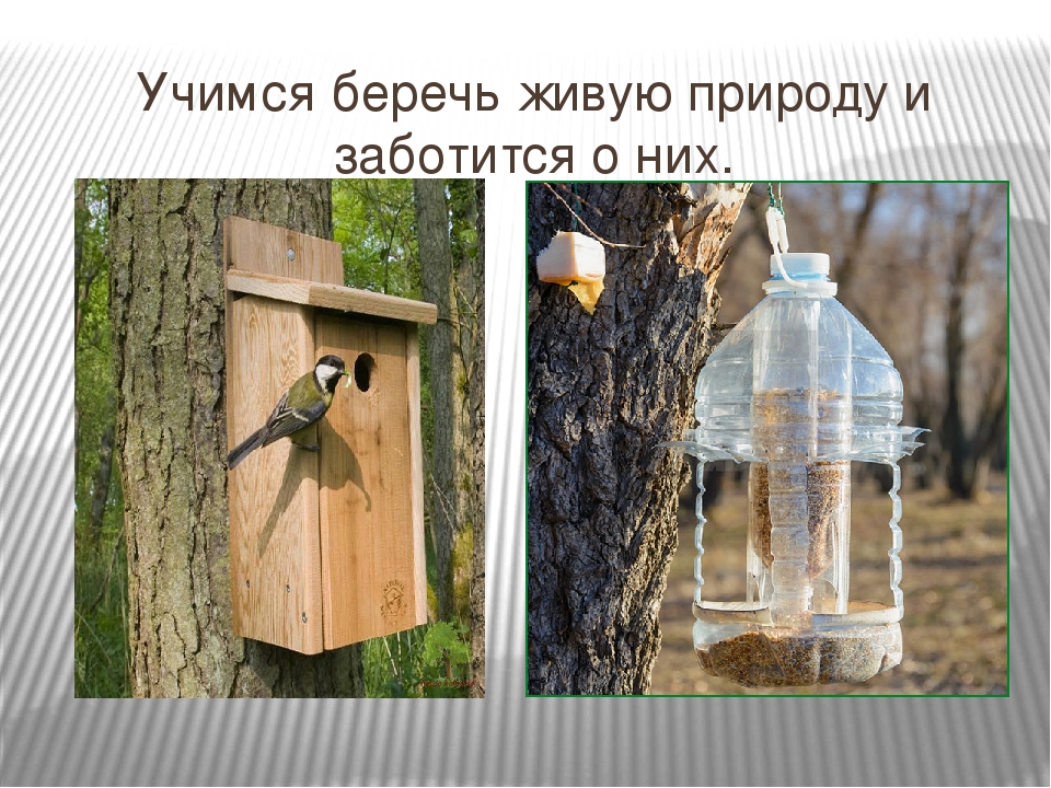 Презентация на тему "Нравствен-патриотическое воспитание дошкольников"