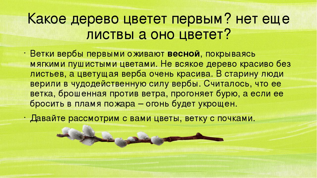 Презентация по познавательному развитию "Весна-краса"2часть
