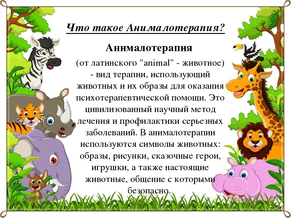 НОД по анималотерапии в 1-ой младшей группе