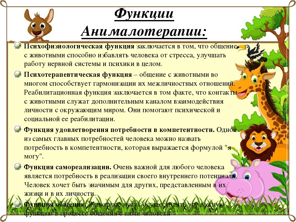 НОД по анималотерапии в 1-ой младшей группе