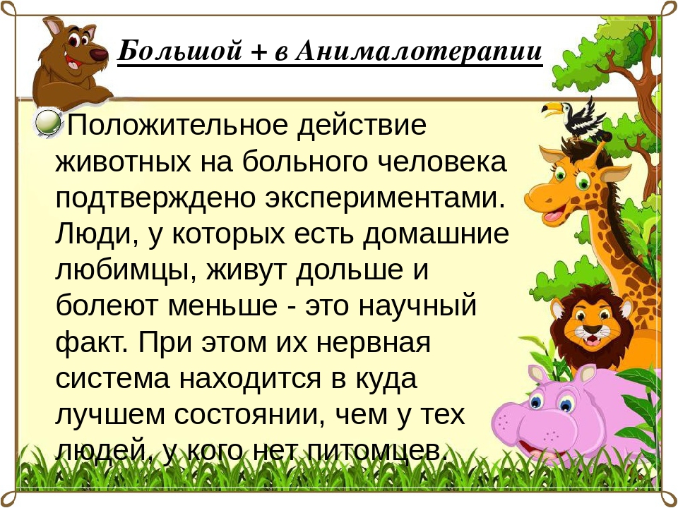 НОД по анималотерапии в 1-ой младшей группе