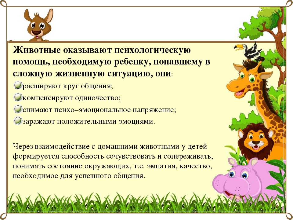 НОД по анималотерапии в 1-ой младшей группе
