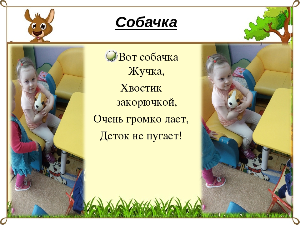 НОД по анималотерапии в 1-ой младшей группе