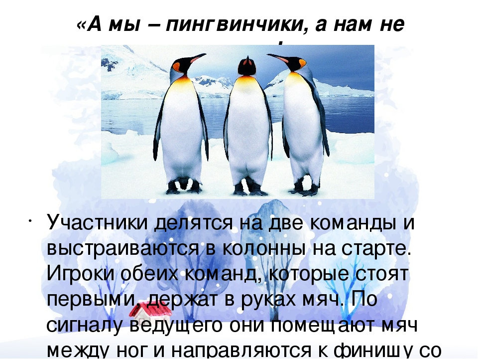Презентация по физическому воспитанию на тему "Подвижные игры" для детей старшего дошкольного возраста