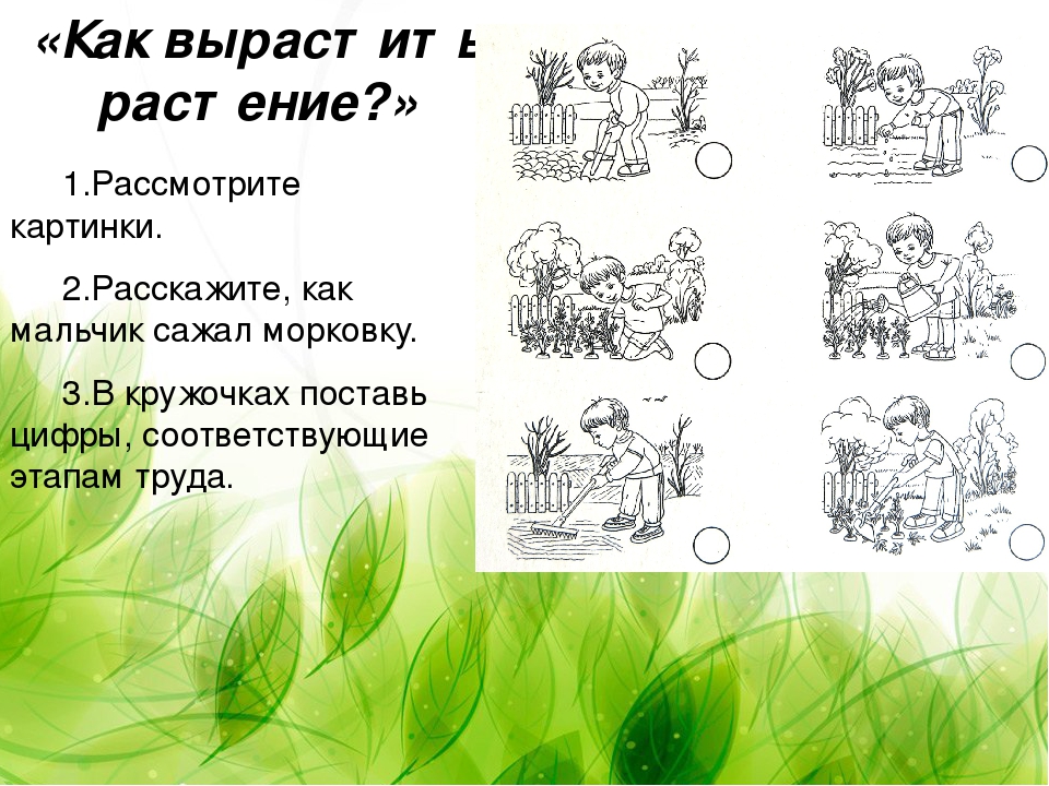Презентация "Дидактические игры" из серии "времена года" для детей старшего дошкольного возраста