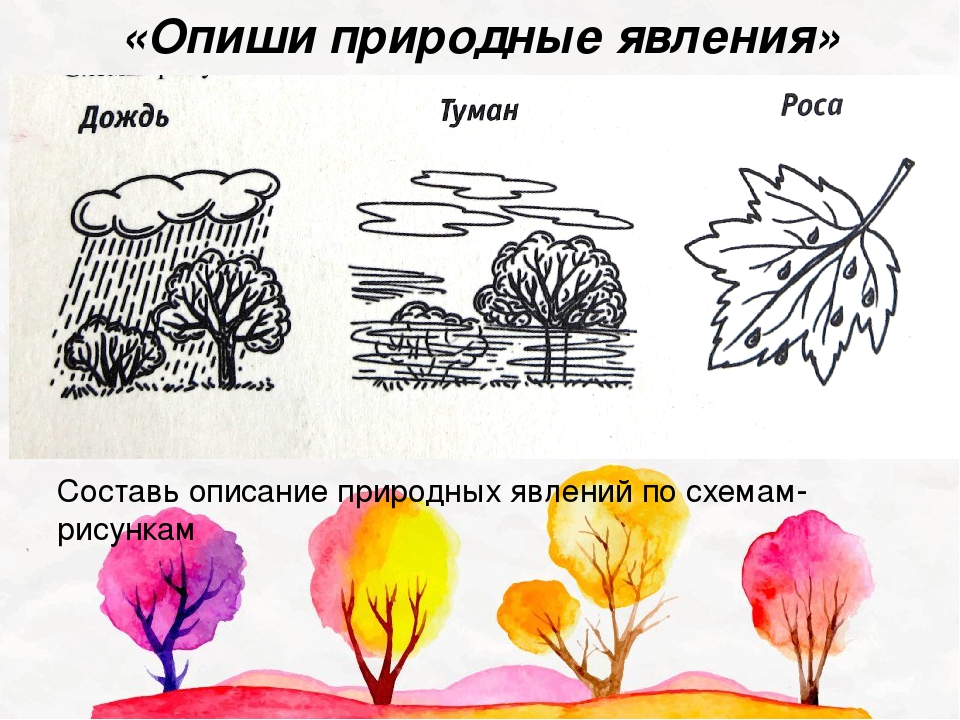 Какое явление из жизни растений изображено на рисунке листопад