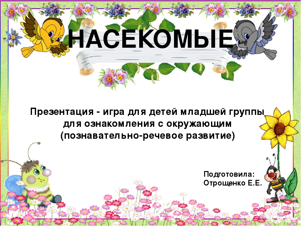 Презентация-игра по познавательному развитию "Мир насекомых" (младшая группа)