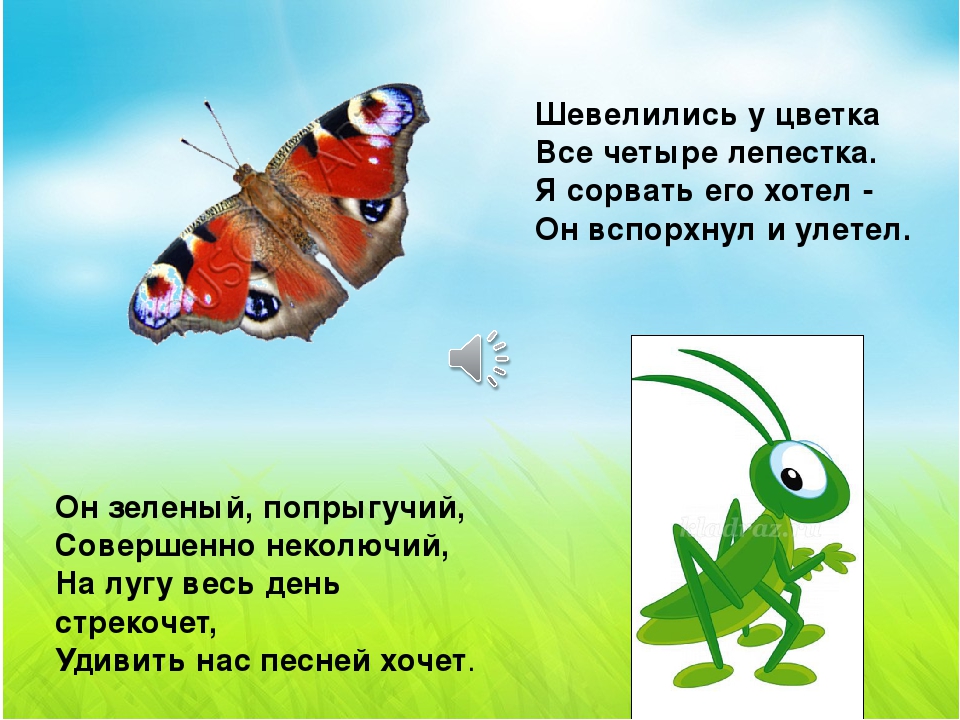 Презентация-игра по познавательному развитию "Мир насекомых" (младшая группа)