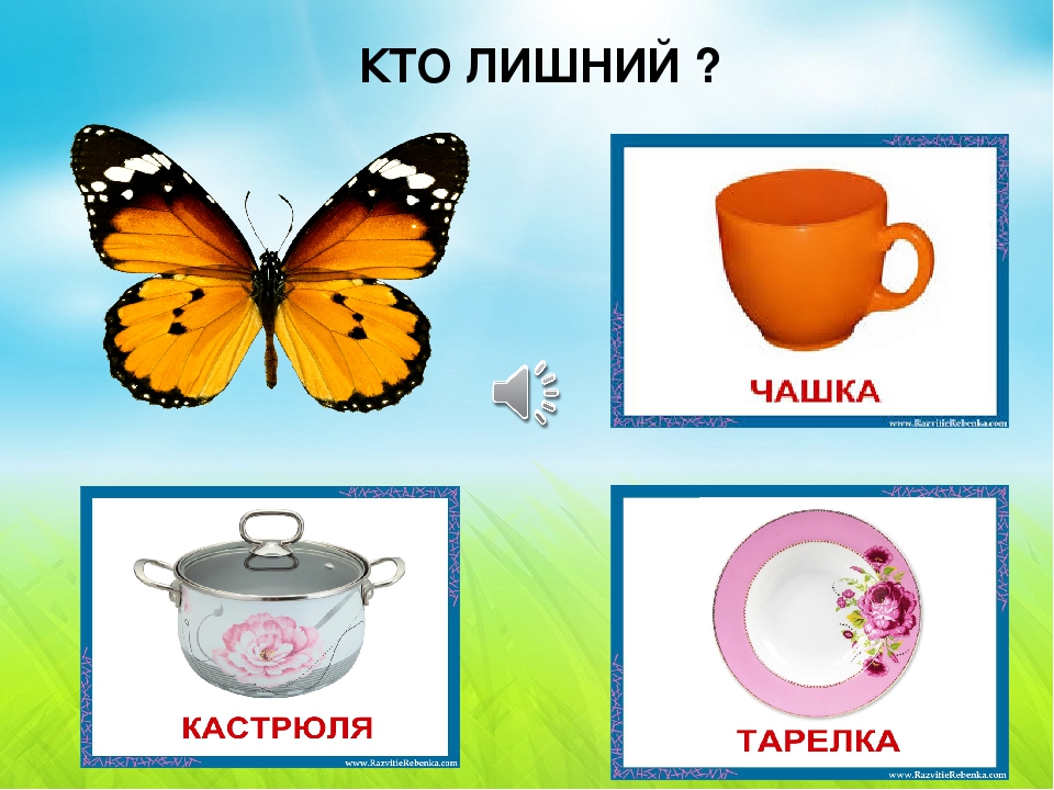 Презентация-игра по познавательному развитию "Мир насекомых" (младшая группа)