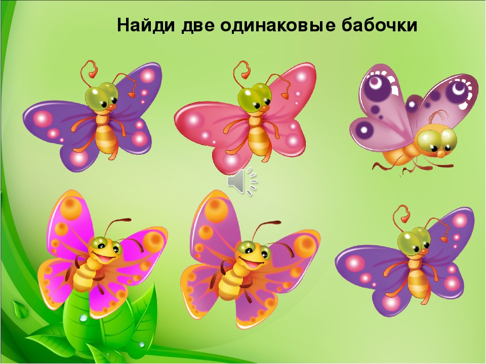 Презентация-игра по познавательному развитию "Мир насекомых" (младшая группа)