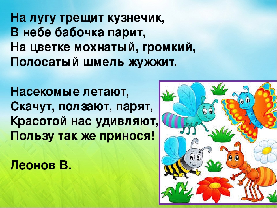 Презентация-игра по познавательному развитию "Мир насекомых" (младшая группа)