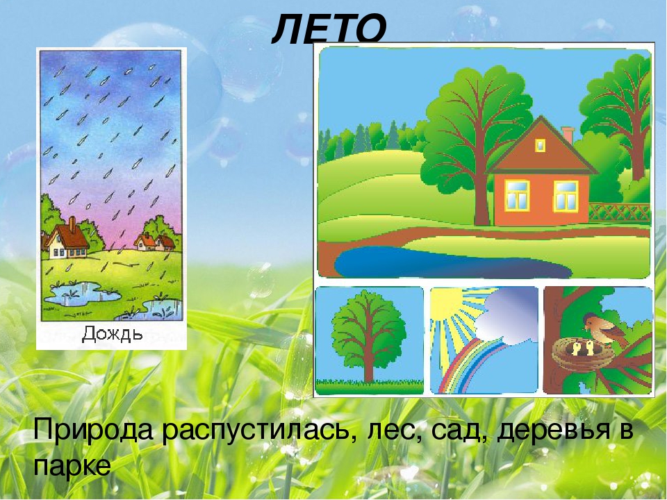 Осадки времен года. Летние явления природы для дошкольников. Природные явления для дошкольников. Явления природы летом для детей. Летние природные явления для дошкольников.