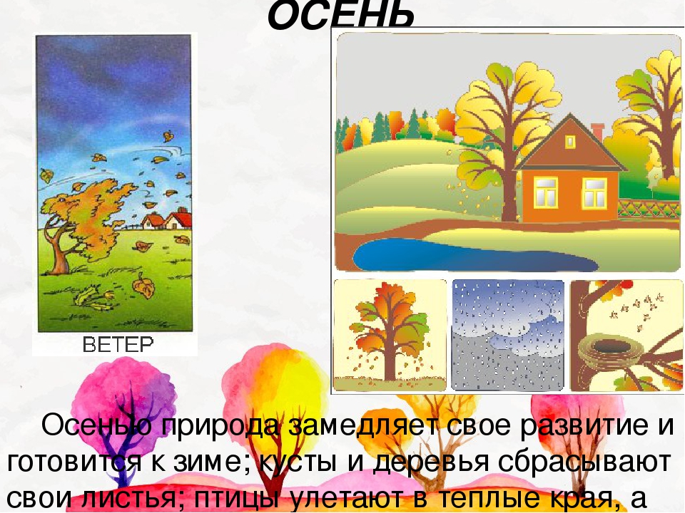 Презентация по ознакомлению с окружающим миром на тему "Природные явления" для детей старшего дошкольного возраста