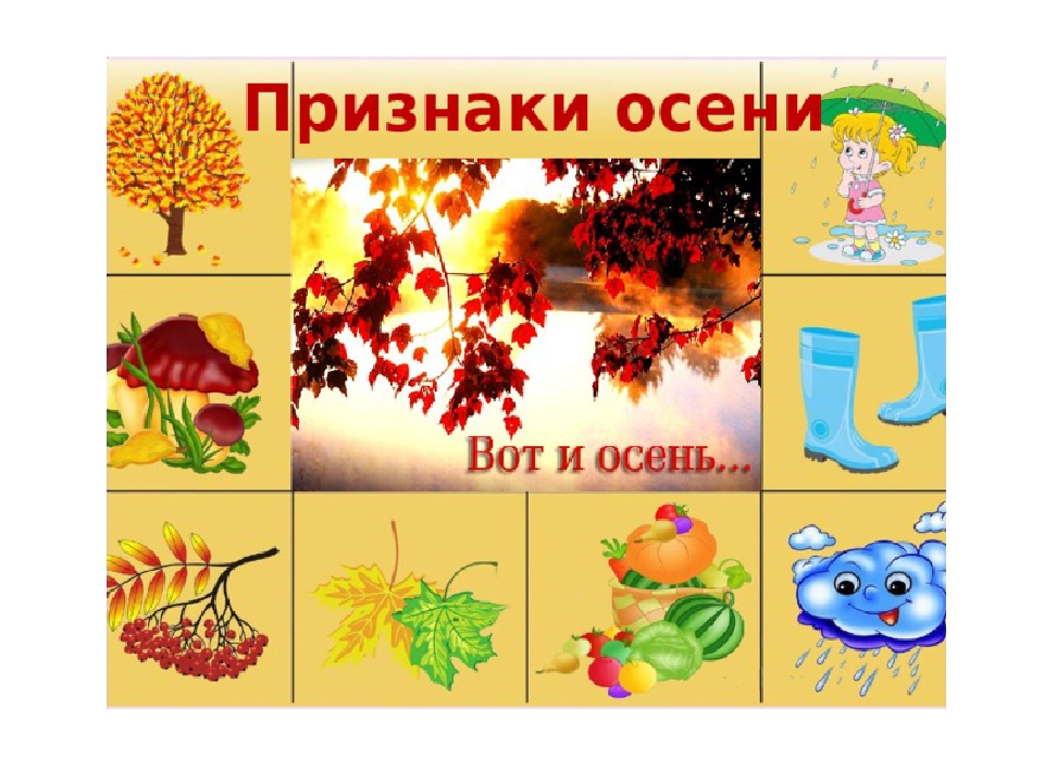 Презентация по ознакомлению с окружающим миром на тему "Природные явления" для детей старшего дошкольного возраста