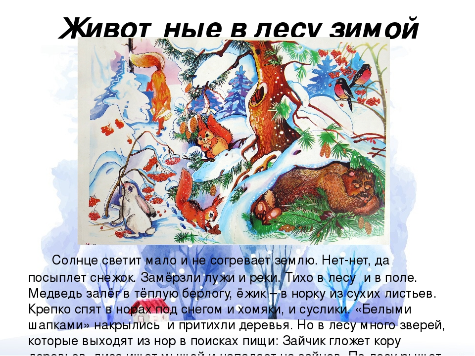 Презентация по ознакомлению с окружающим миром на тему "Животный мир" для детей старшего дошкольного возраста