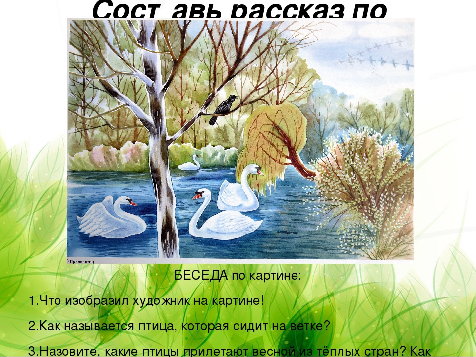 Презентация по ознакомлению с окружающим миром на тему "Животный мир" для детей старшего дошкольного возраста
