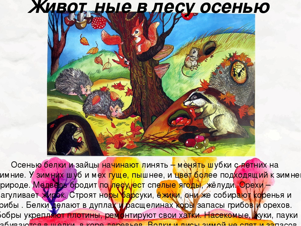Презентация по ознакомлению с окружающим миром на тему "Животный мир" для детей старшего дошкольного возраста