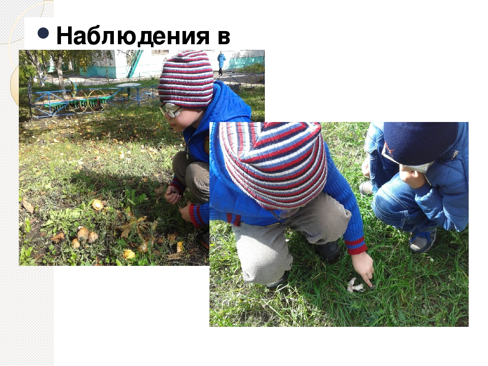 Презентация для проведения родительского собрания (дополнение к конспекту родительского собрания)