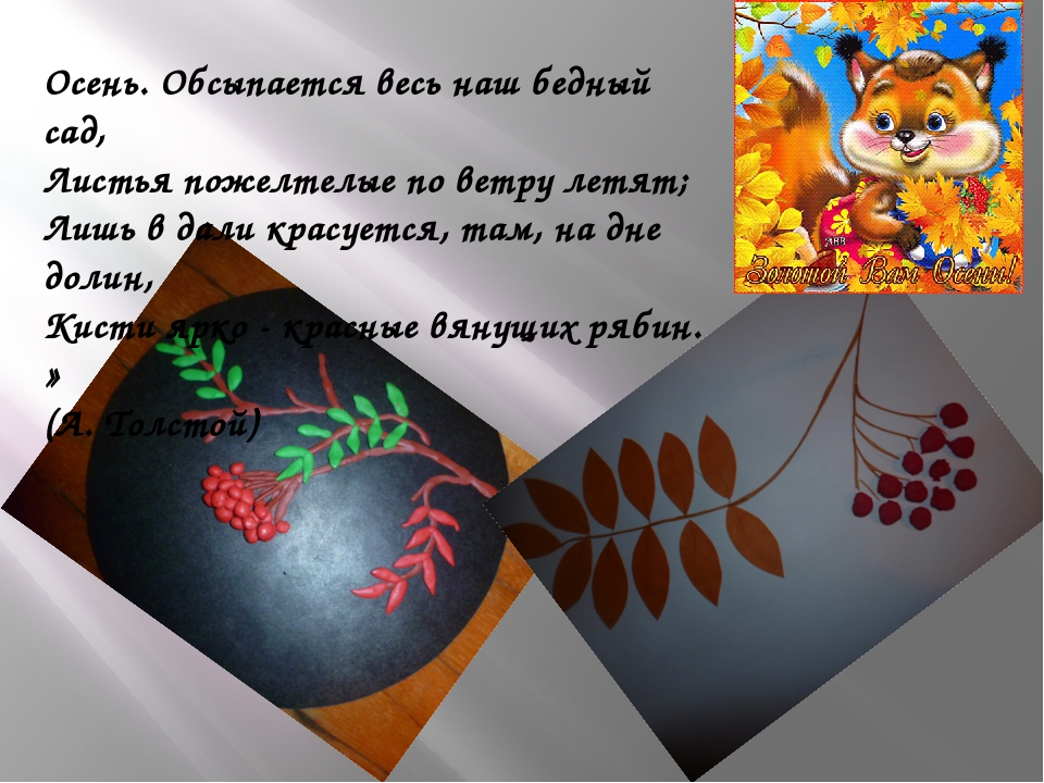 Презентация ДО "Солнышко" в средней группе "Почемучки".