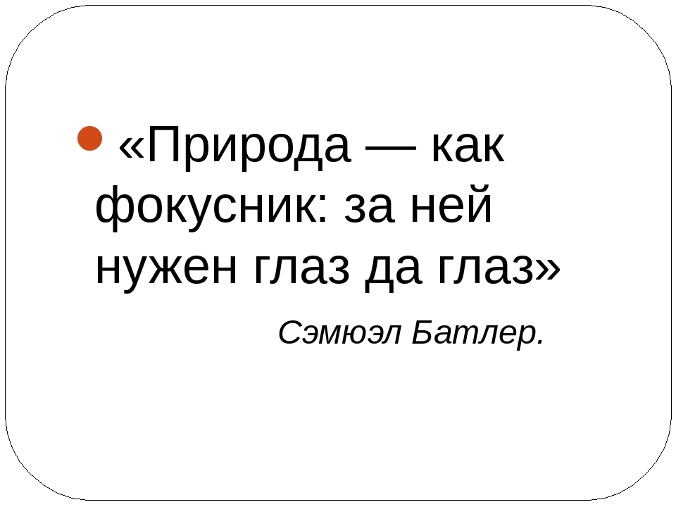 "Экскурсия в Наурзумский заповедник"